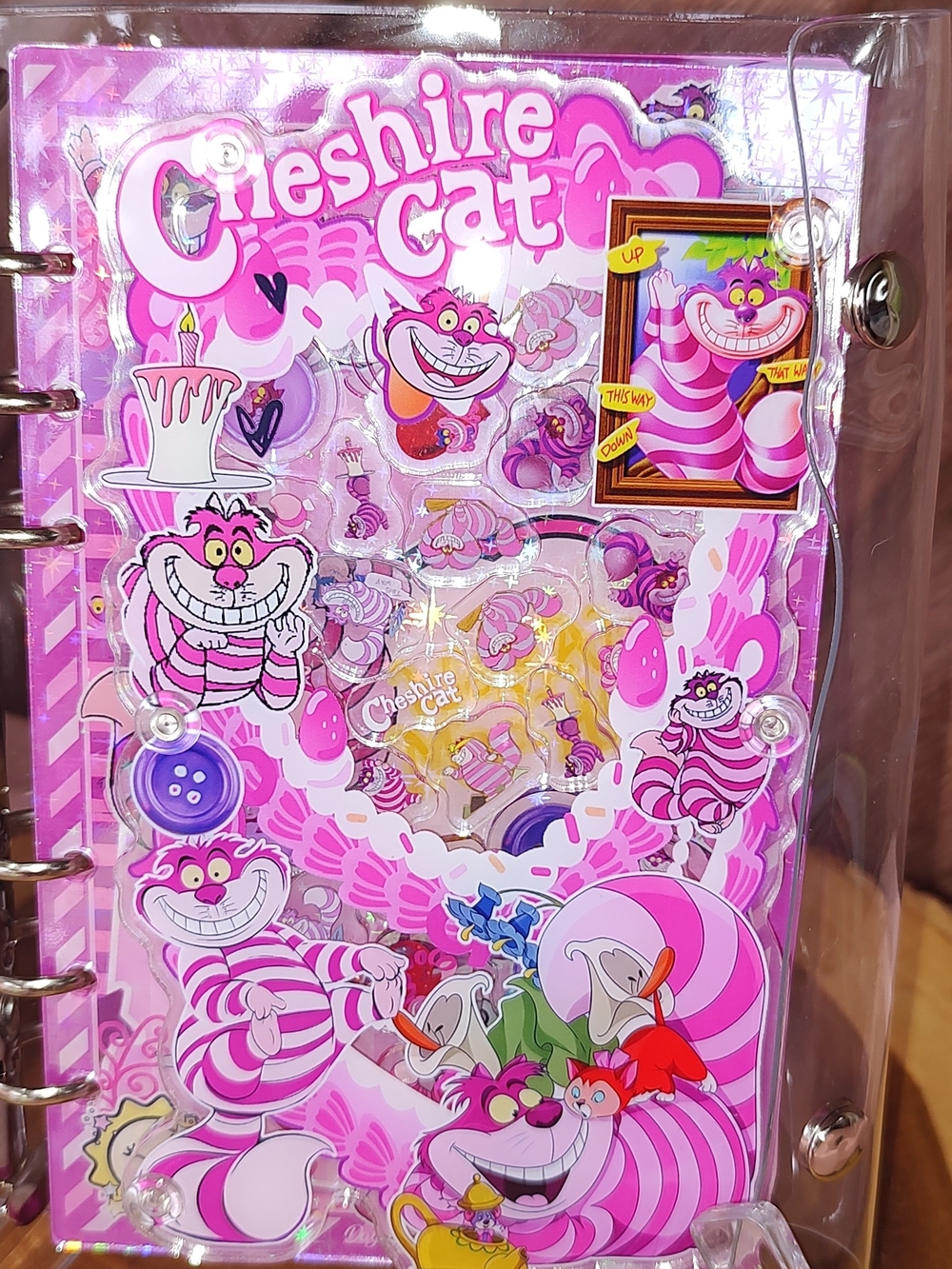 New! A6 Cheshire Cat Pink Striped Acrylic Shaker Photo Notebook